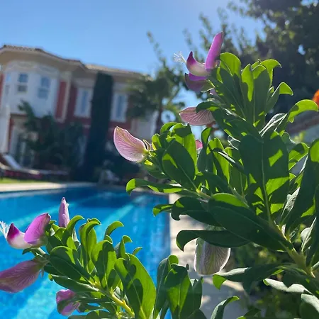 Hotel On Alaçatı